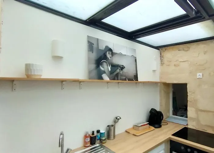 Modern Flat Historic Center Apartment Bordeaux